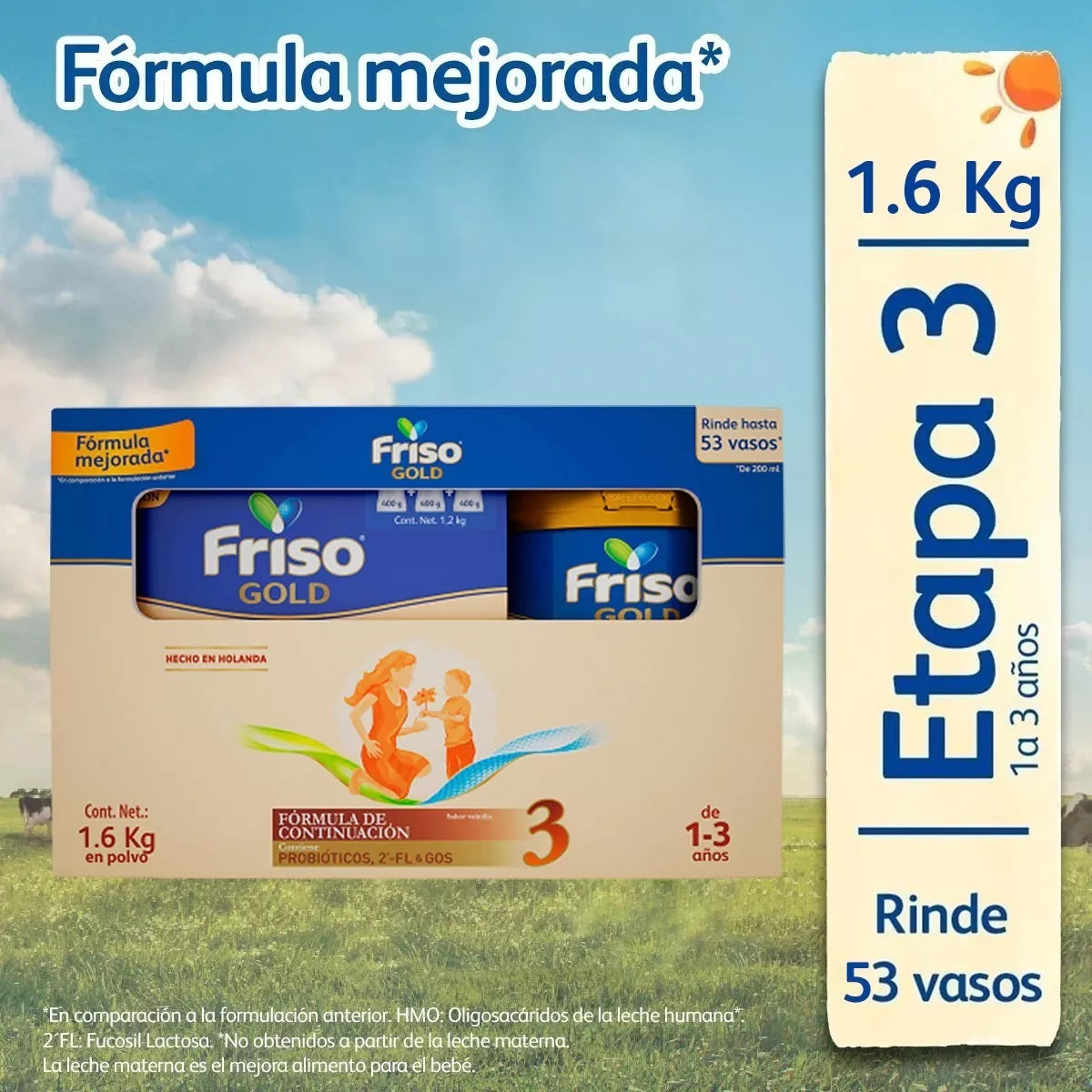 Friso Gold 3 (1-3 Años) Caja Pack C/ 1.6 Kg